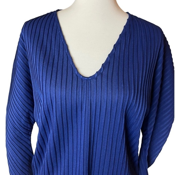 NWT Zara Trafaluc Blue Long Sleeved Stripe Textured V-Neck Top - Size Small - Picture 2 of 12